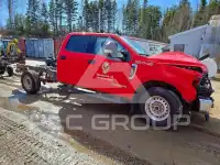2021 Ford F-250 фото