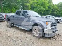 2021 Ford F-250 фото