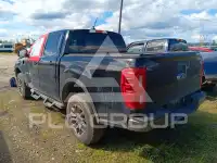2021 Ford RANGER фото