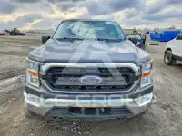 2021 Ford F-150 фото