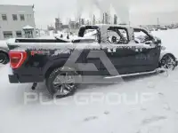 2021 Ford F-150 фото
