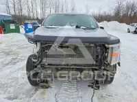 2021 Ford F-150 фото