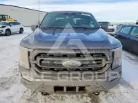 2021 Ford F-150 фото