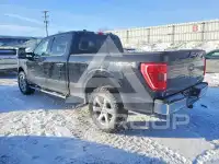 2021 Ford F-150 фото