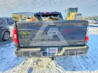 2021 Ford F-150 фото