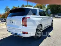 2021 Hyundai Palisade фото