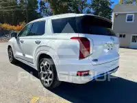 2021 Hyundai Palisade фото