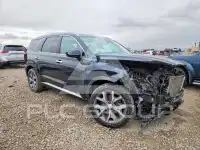 2021 Hyundai Palisade фото