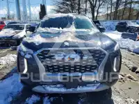 2021 Hyundai Palisade photo