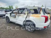 2021 Hyundai Palisade фото