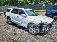 2021 Hyundai Palisade photo