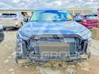 2021 Hyundai Palisade фото