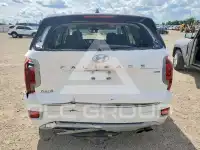 2021 Hyundai Palisade фото