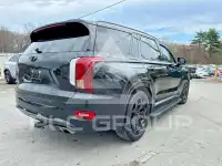 2021 Hyundai Palisade фото