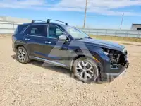2021 Hyundai Palisade фото