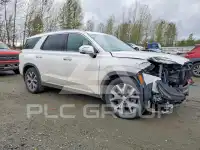 2021 Hyundai Palisade фото