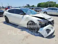 2022 Nissan MAXIMA photo