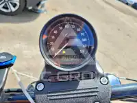 2022 Harley-Davidson XL883 фото