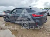 2022 BMW X4 фото