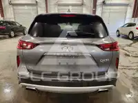 2022 Infinity QX50 photo