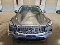 2022 Infinity QX50 photo