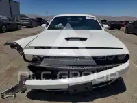2022 Dodge CHALLENGER фото
