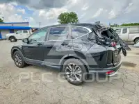 2022 Honda CR-V фото