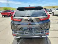 2022 Honda CR-V фото