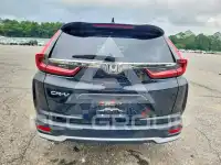 2022 Honda CR-V фото