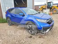 2022 Honda CR-V фото