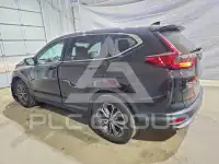 2022 Honda CR-V фото
