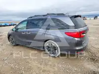 2022 Honda ODYSSEY фото