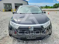 2022 Honda ODYSSEY фото