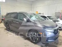 2022 Honda ODYSSEY фото