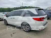 2022 Honda ODYSSEY фото