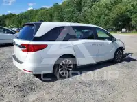 2022 Honda ODYSSEY фото