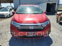 2022 Honda ODYSSEY photo