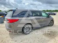 2022 Honda ODYSSEY фото