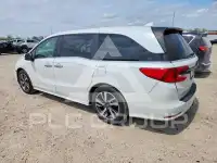 2022 Honda ODYSSEY фото