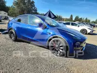 2022 Tesla Model Y фото