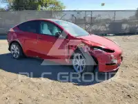 2022 Tesla Model Y photo