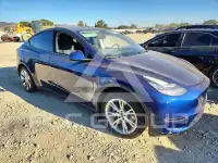 2022 Tesla Model Y photo