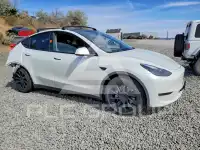 2022 Tesla Model Y фото