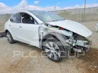2022 Tesla Model Y фото