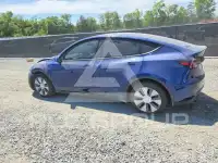 2022 Tesla Model Y фото