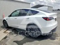 2022 Tesla Model Y photo