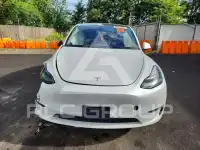 2022 Tesla Model Y фото