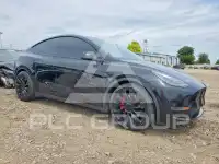 2022 Tesla Model Y photo