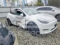 2022 Tesla Model Y фото