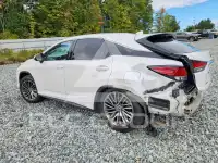 2022 Lexus RX фото